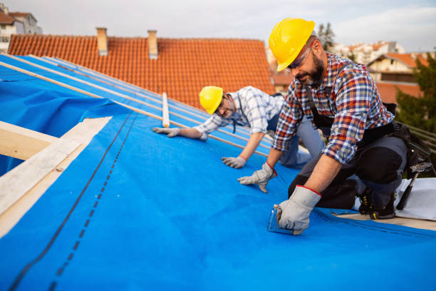 Best Roof Insulation Installation  in Onancock, VA